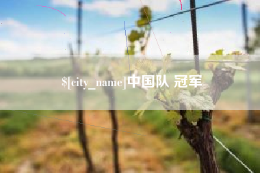 汕头中国队 冠军