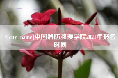 汕头中国消防救援学院2021年报名时间