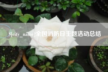 汕头全国消防日主题活动总结