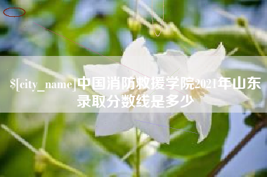 汕头中国消防救援学院2021年山东录取分数线是多少