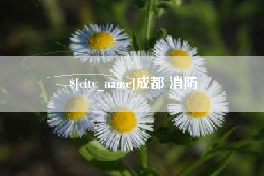 汕头成都 消防