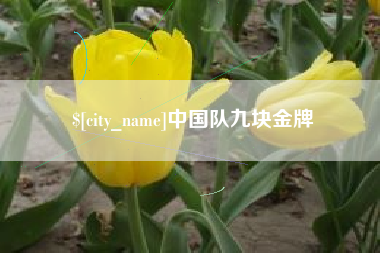 汕头中国队九块金牌