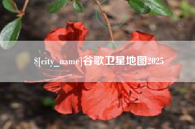 汕头谷歌卫星地图2025