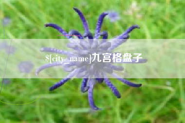 汕头九宫格盘子