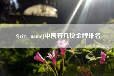 汕头中国有几块金牌排名