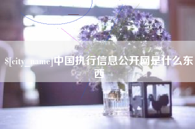 汕头中国执行信息公开网是什么东西