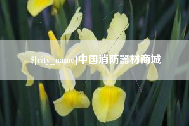 汕头中国消防器材商城