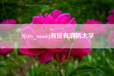 汕头有没有消防大学