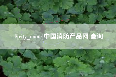 汕头中国消防产品网 查询