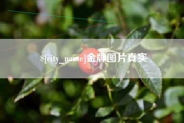 汕头金牌图片真实