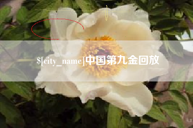 汕头中国第九金回放