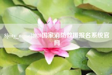 汕头2020国家消防救援报名系统官网