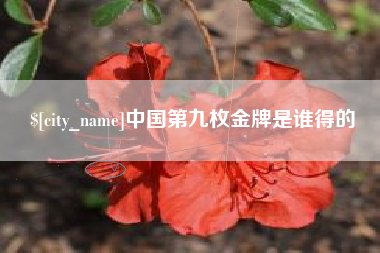 汕头中国第九枚金牌是谁得的