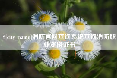 汕头消防官网查询系统查询消防职业资格证书