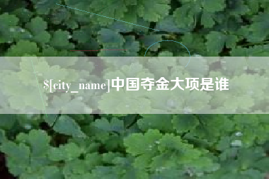 汕头中国夺金大项是谁