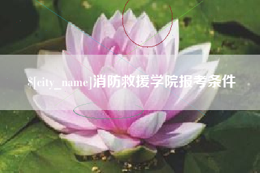 汕头消防救援学院报考条件