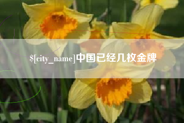 汕头中国已经几枚金牌