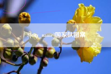 汕头国家队图案