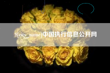 汕头中国执行信息公开网
