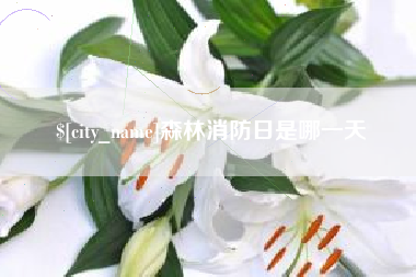 汕头森林消防日是哪一天