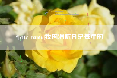 汕头我国消防日是每年的