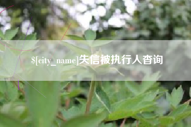 汕头失信被执行人杳询