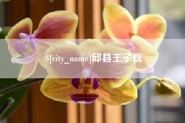 汕头邱县王子磊