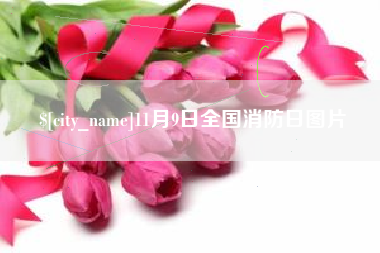 汕头11月9日全国消防日图片