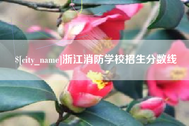 汕头浙江消防学校招生分数线