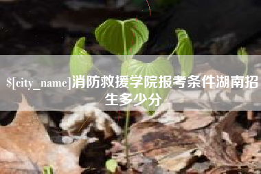 汕头消防救援学院报考条件湖南招生多少分