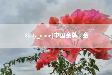 汕头中国金牌18金
