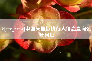汕头中国失信被执行人信息查询公开网址