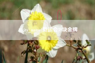 汕头奥运会39块金牌