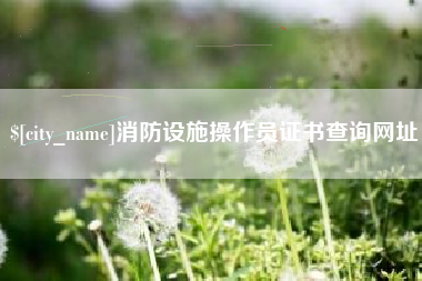 汕头消防设施操作员证书查询网址