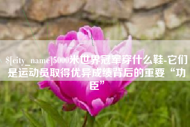 汕头5000米世界冠军穿什么鞋-它们是运动员取得优异成绩背后的重要“功臣”