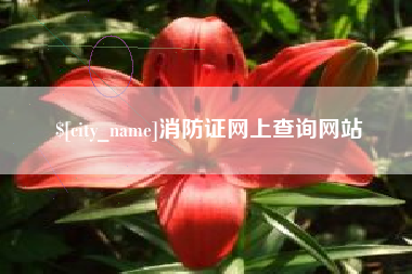 汕头消防证网上查询网站