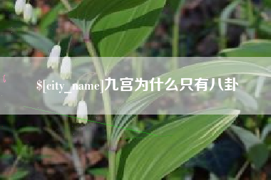 汕头九宫为什么只有八卦