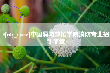 汕头中国消防救援学院消防专业招生简章