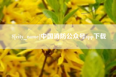 汕头中国消防公众号app下载