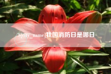 汕头我国消防日是哪日