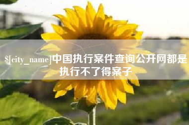 汕头中国执行案件查询公开网都是执行不了得案子