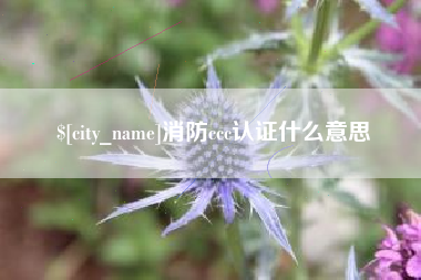 汕头消防ccc认证什么意思