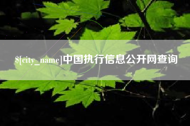 汕头中国执行信息公开网查询