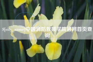汕头中国消防救援学院官网首页查询