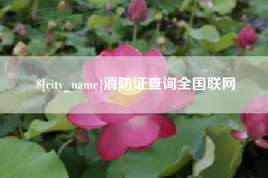汕头消防证查询全国联网