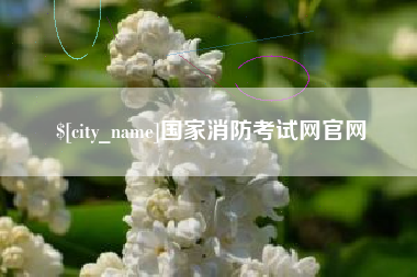 汕头国家消防考试网官网