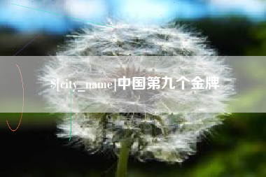 汕头中国第九个金牌