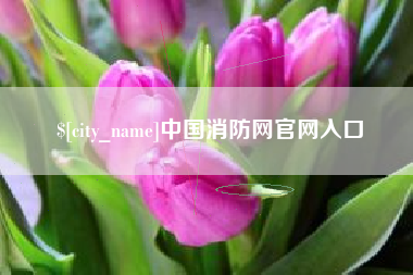 汕头中国消防网官网入口