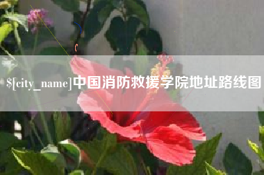 汕头中国消防救援学院地址路线图