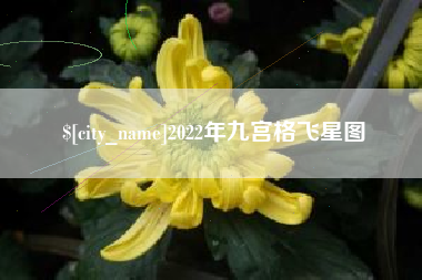 汕头2022年九宫格飞星图